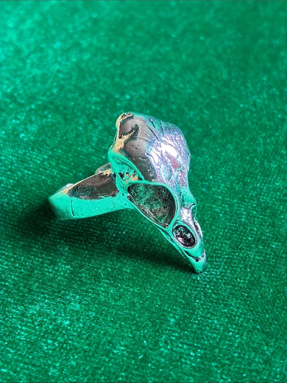 Gothic raven crow skull adjustable ring in silvertone Edgar Allan Poe inspired
